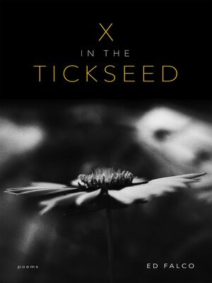 cover image of X in the Tickseed